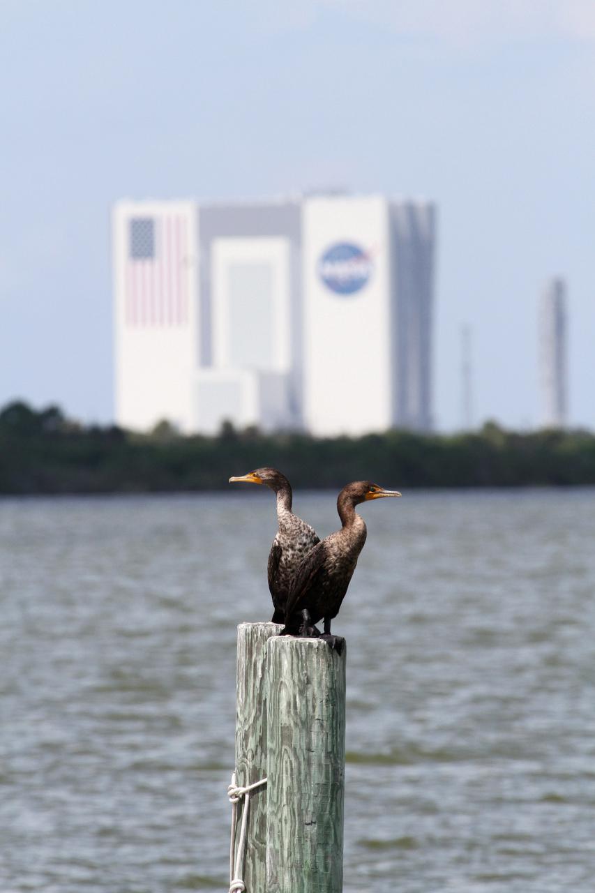 CAPE CANAVERAL, Fla. – At NASA’s Kennedy Space Center in Florida, two birds sit on the post of a dock along the NASA Causeway with a view of the Vehicle Assembly building across the intercoastal waterway.  The center shares a boundary with the Merritt Island National Wildlife Refuge, consisting of 140,000 acres. The Refuge provides a wide variety of habitats: coastal dunes, saltwater estuaries and marshes, freshwater impoundments, scrub, pine flatwoods, and hardwood hammocks that provide habitat for more than 1,500 species of plants and animals, including about 331 species of birds. Photo credit: NASA_Ben Smegelsky