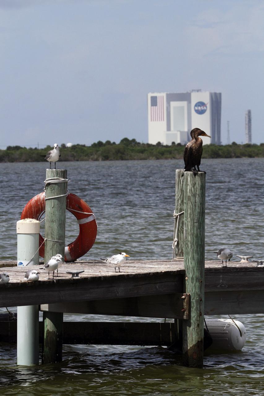 CAPE CANAVERAL, Fla. – At NASA’s Kennedy Space Center in Florida, several birds sit on a dock along the NASA Causeway admiring the view of the Vehicle Assembly building from across the intercoastal waterway.  The center shares a boundary with the Merritt Island National Wildlife Refuge, consisting of 140,000 acres. The Refuge provides a wide variety of habitats: coastal dunes, saltwater estuaries and marshes, freshwater impoundments, scrub, pine flatwoods, and hardwood hammocks that provide habitat for more than 1,500 species of plants and animals, including about 331 species of birds. Photo credit: NASA_Ben Smegelsky