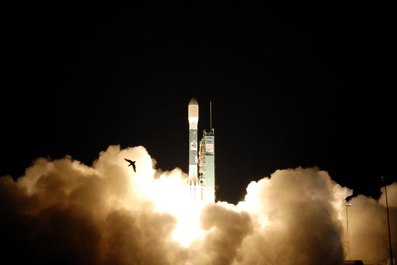 VANDENBERG AIR FORCE BASE, Calif. -- A bird soars away from Space Launch Complex-2 on Vandenberg Air Force Base in California as the United Launch Alliance Delta II rocket carrying NASA's National Polar-orbiting Operational Environmental Satellite System Preparatory Project (NPP) lifts off the pad.  Launch was at 2:48 a.m. PDT.  NPP represents a critical first step in building the next-generation of Earth-observing satellites. NPP will carry the first of the new sensors developed for this satellite fleet, now known as the Joint Polar Satellite System (JPSS) to be launched in 2016. NPP is the bridge between NASA's Earth Observing System (EOS) satellites and the forthcoming series of JPSS satellites. The mission will test key technologies and instruments for the JPSS missions. For more information, visit http:__www.nasa.gov_NPP. Photo credit: NASA_Kim Shiflett