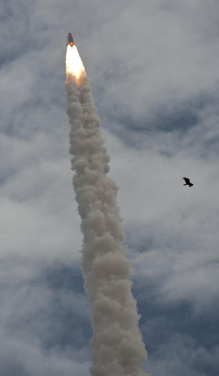 Space shuttle Atlantis, STS-135, launches skyward on a 12-day mission to the International Space Station (ISS), Friday, July 8, 2011, at NASA's Kennedy Space Center in Cape Canaveral, Fla. The launch of Atlantis is the final flight of the shuttle program and will carry the Raffaello multipurpose logistics module containing supplies and spare parts for the space station. Photo Credit: (NASA/Paul E. Alers)