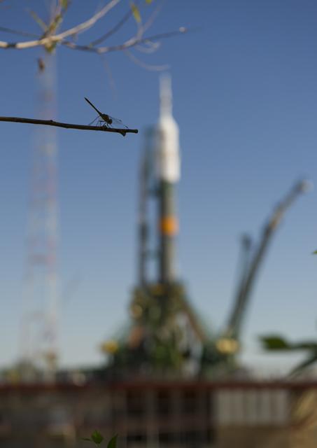 NASA image: Expedition 32 Soyuz Rocket Rollout