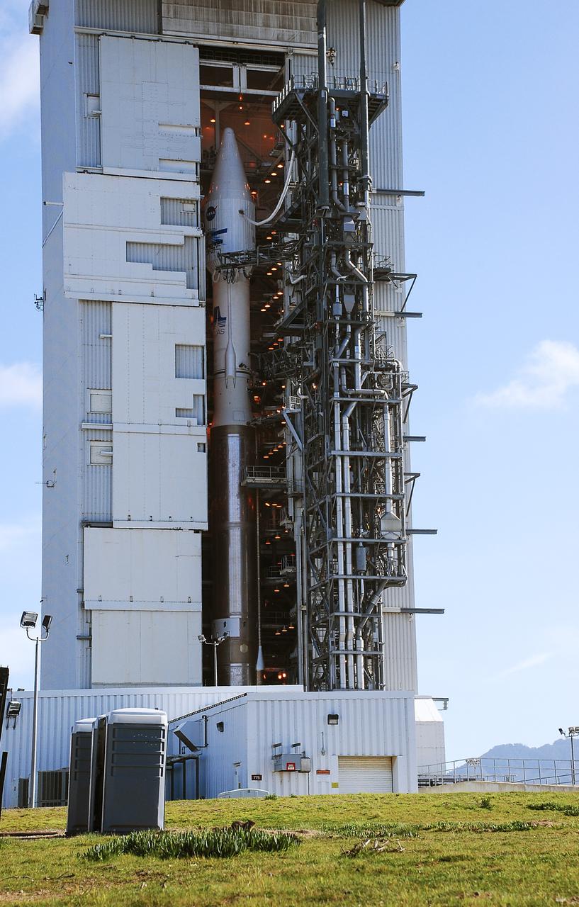 VANDENBERG AFB, Calif. – A squirrel looks around from his nest near the launch site of a United Launch Alliance Atlas V rocket carrying the Landsat Data Continuity Mission spacecraft from Vandenberg Air Force Base in California. Photo credit: NASA_Ben Smegelsky