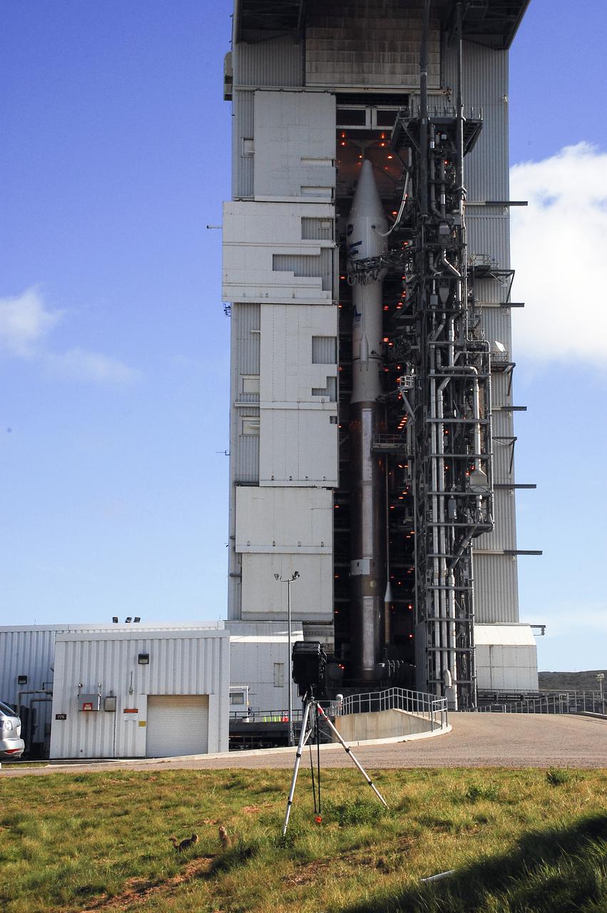 VANDENBERG AFB, Calif. – A pair of squirrels look around near the launch site of a United Launch Alliance Atlas V rocket carrying the Landsat Data Continuity Mission spacecraft from Vandenberg Air Force Base in California. Photo credit: NASA_Ben Smegelsky