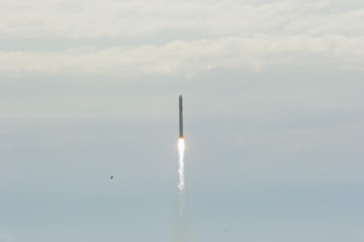 CAPE CANAVERAL, Fla. -- A Space Exploration Technologies, or SpaceX, Falcon 9 rocket roars away from Space Launch Complex 40 into the clouds over Cape Canaveral Air Force Station in Florida, carrying a Dragon capsule filled with cargo to orbit. Launch was at 10:10 a.m. EST.  The SpaceX Dragon capsule is making its third trip to the International Space Station, following a demonstration flight in May 2012 and the first resupply mission in October 2012. The mission is the second of 12 SpaceX flights contracted by NASA to resupply the orbiting laboratory. For more information, visit http:__www.nasa.gov_mission_pages_station_structure_launch_spacex2-feature.html.  Photo credit: NASA_Kim Shiflett