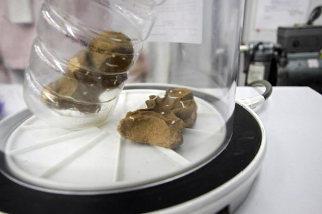 NASA image: KSC-2013-1871