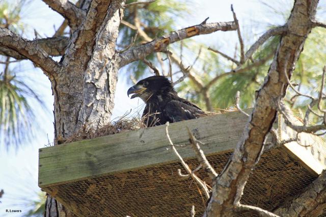 NASA image: KSC-2013-2183