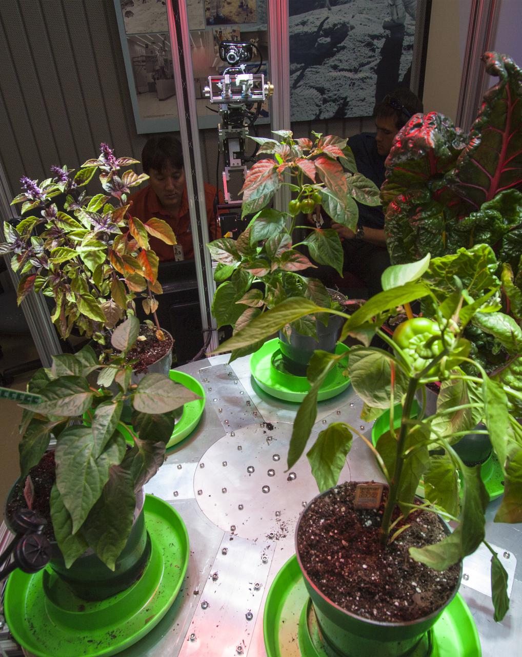 CAPE CANAVERAL, Fla. -- At the Kennedy Space Center in Florida, students from University of Colorado demonstrated a robotic capability for growing a variety of plants, both for consumption as well as the benefit of oxygen-carbon dioxide cycling. Considerations range from monitoring and nutrient supply to selection of plants and autonomy. The activity is part of the eXploration Habitat, or X-Hab, Academic Innovation Challenge.   X-Hab Academic Innovation Challenge is a university-level activity designed to engage and retain students in Science, Technology, Engineering and Math, or STEM, disciplines. NASA will directly benefit from the effort by sponsoring the development of innovative habitat concepts from universities which may result in innovative ideas and solutions that could be applied to exploration habitats. For more: http:__www.nasa.gov_exploration_technology_deep_space_habitat_xhab_ Photo credit: NASA_Jim Grossmann