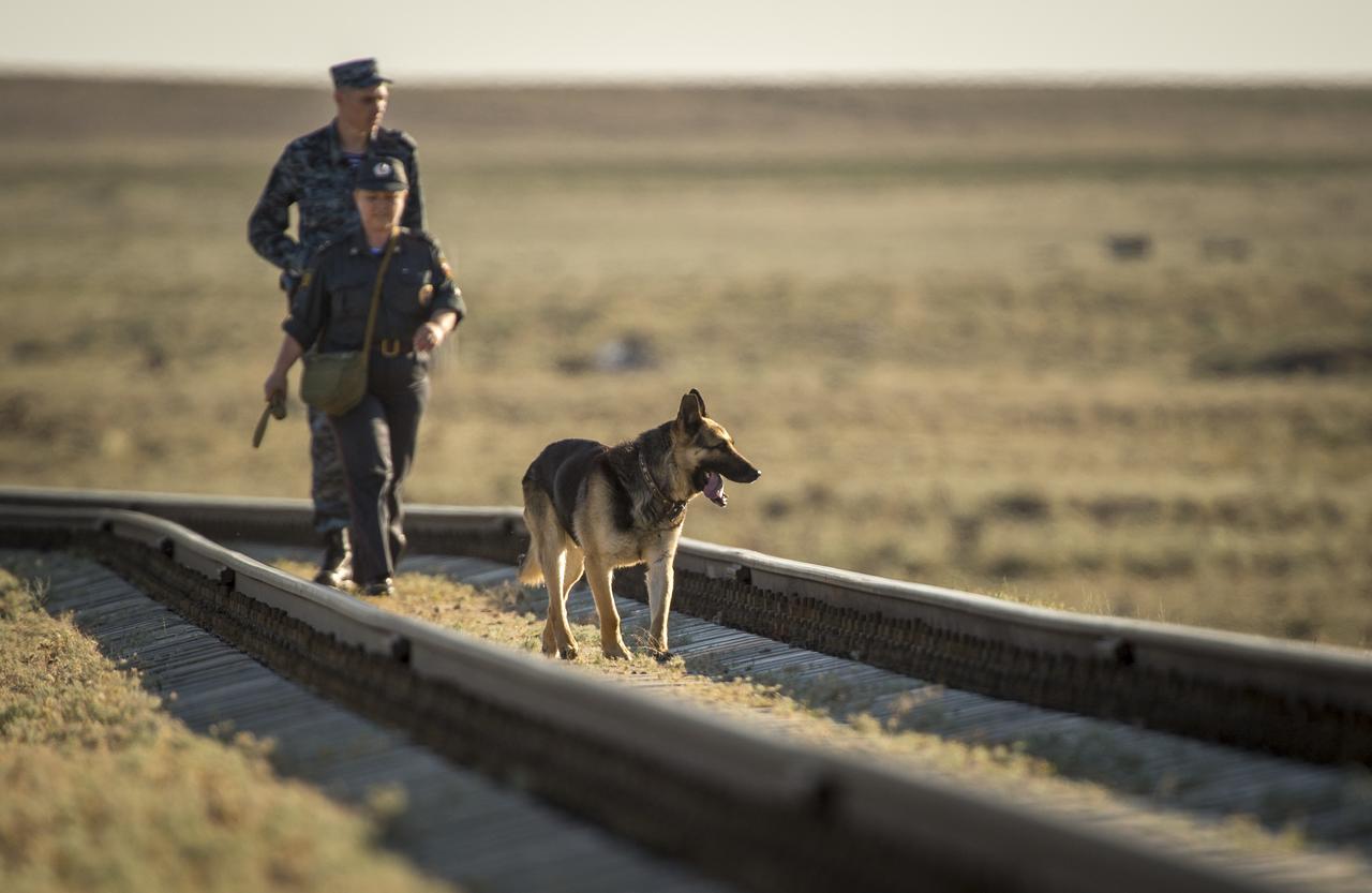 Police walk along railroad tracks with a bomb sniffing dog ahead of the the Soyuz TMA-09M spacecraft as it is rolled out by train to the Baikonur Cosmodrome launch pad, Sunday, May 26, 2013, in Kazakhstan.  The launch of the Soyuz rocket to the International Space Station (ISS) with Expedition 36/37 Soyuz Commander Fyodor Yurchikhin of the Russian Federal Space Agency (Roscosmos), Flight Engineers; Luca Parmitano of the European Space Agency, and Karen Nyberg of NASA, is scheduled for Wednesday May 29, Kazakh time. Yurchikhin, Nyberg, and, Parmitano, will remain aboard the station until mid-November. Photo credit: (NASA/Bill Ingalls)
