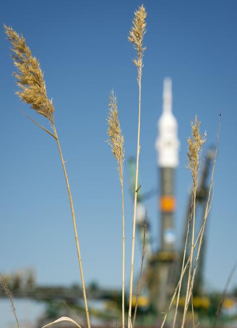 NASA image: Expedition 36 Soyuz TMA-09M Rollout