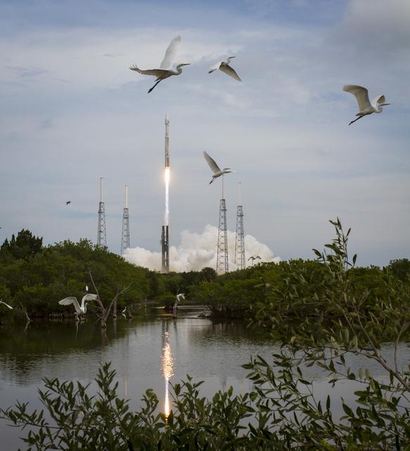 MAVEN Atlas V Launch
