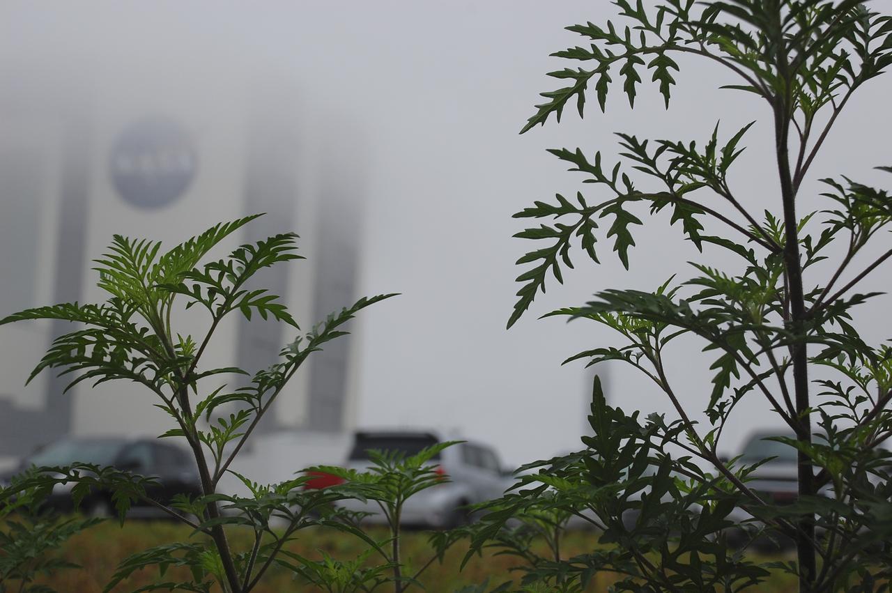CAPE CANAVERAL, Fla. – At NASA's Kennedy Space Center in Florida, the 525-foot-tall Vehicle Assembly Building is obscured in the fog.  The massive building, once used to process Apollo Saturn V rockets and space shuttles for launch, is undergoing a transformation to prepare it to support NASA's next-generation rocket, the Space Launch System, or SLS, as well as myriad commercial rockets under development. To learn more about the SLS, visit http:__www.nasa.gov_exploration_systems_sls_. For more on NASA's Commercial Crew Program, visit http:__www.nasa.gov_exploration_commercial_crew_. Photo credit: NASA_Ben Smegelsky