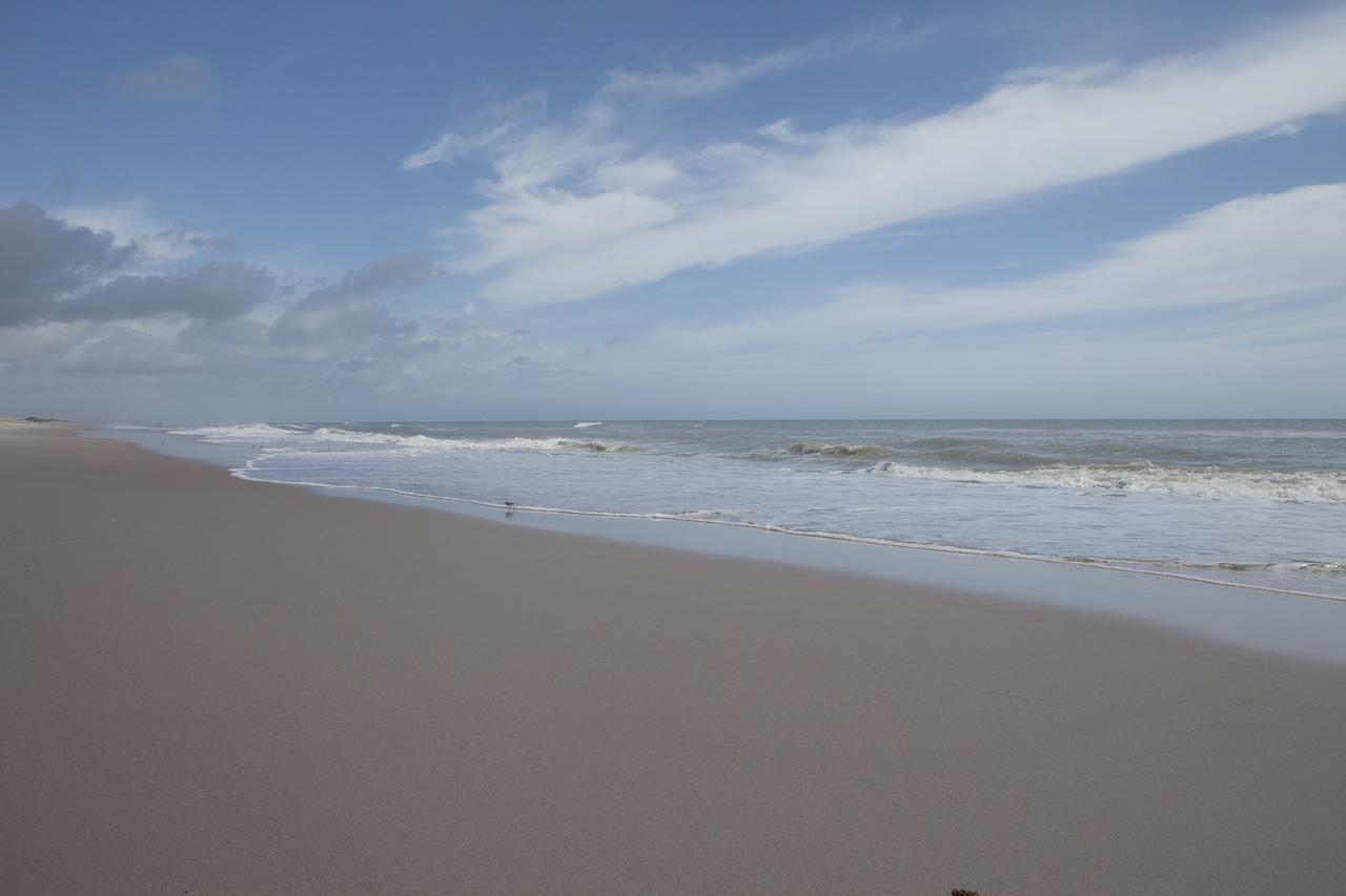 CAPE CANAVERAL, Fla. -- At the Kennedy Space Center in Florida, the Atlantic Ocean surf is seen adjacent to sand dunes restored along a 1.2 mile stretch of shoreline near Launch Pads 39A and B. As part of a six-month effort to help prevent further erosion, 180,000 shrubs, including grasses, sunflowers, vines, sea grapes and palmettos were planted.      Constant pounding from tropical storms, such as Hurricane Sandy in October of 2012, other weather systems and higher than usual tides, destroyed sand dunes protecting infrastructure at the spaceport. Photo credit: NASA/Dan Casper
