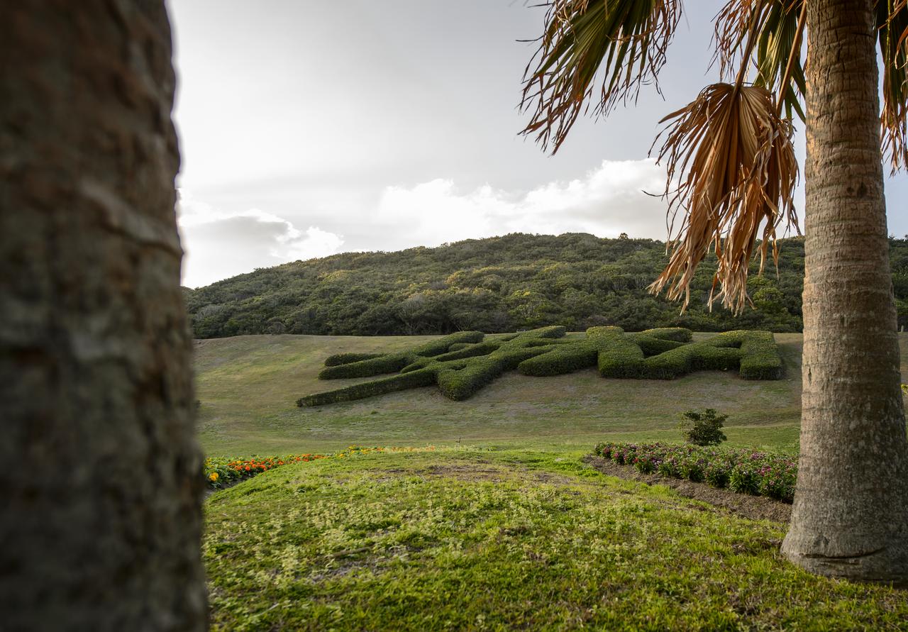 Topiary shaped into the logo of the Japan Aerospace Exploration Agency (JAXA) is seen at the Tanegashima Space Center (TNSC) a week ahead of the planned launch of an H-IIA rocket carrying the Global Precipitation Measurement (GPM) Core Observatory, Friday, Feb. 21, 2014, Tanegashima Island, Japan. The NASA-JAXA GPM spacecraft will collect information that unifies data from an international network of existing and future satellites to map global rainfall and snowfall every three hours. Photo Credit: (NASA/Bill Ingalls)