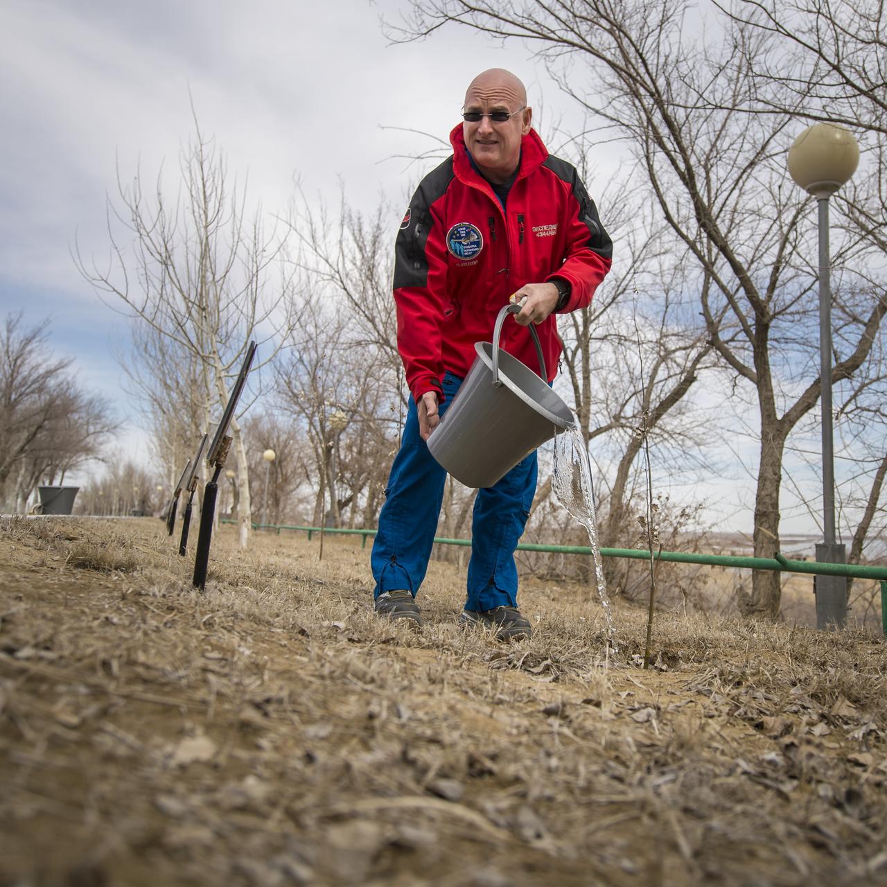 Expedition 43 NASA Astronaut Scott Kelly waters a tree planted in his honor during media day, Saturday, March 21, 2015, Baikonur, Kazakhstan. Kelly, and Russian Cosmonauts Gennady Padalka, and Mikhail Kornienko of the Russian Federal Space Agency (Roscosmos) are scheduled to launch to the International Space Station in the Soyuz TMA-16M spacecraft from the Baikonur Cosmodrome in Kazakhstan March 28, Kazakh time (March 27 Eastern time.) As the one-year crew, Kelly and Kornienko will return to Earth on Soyuz TMA-18M in March 2016. Photo Credit: (NASA/Bill Ingalls)