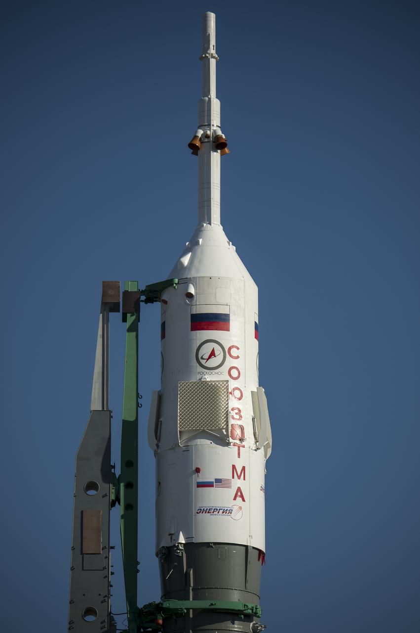 Expedition 43 Soyuz Rollout