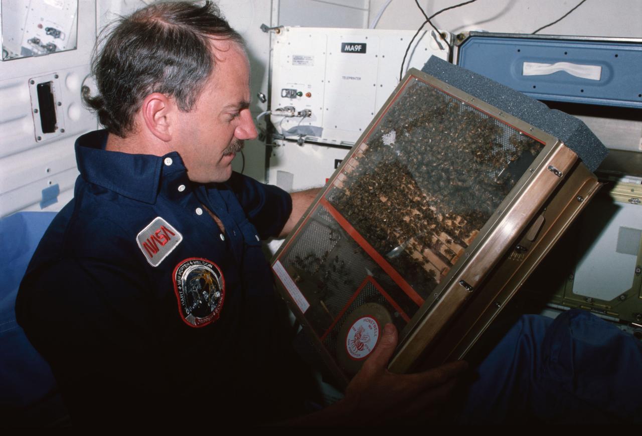 41C-05-188 (12 April 1984) --- Astronaut James D. van Hoften, mission specialist, holds an aluminum box, full of honeybees.  The experiment in Earth-orbit is duplicated with another colony of the young honeycomb builders on Earth.  Dan Poskevich submitted the experiment to NASA as part of the Shuttle student involvement program.