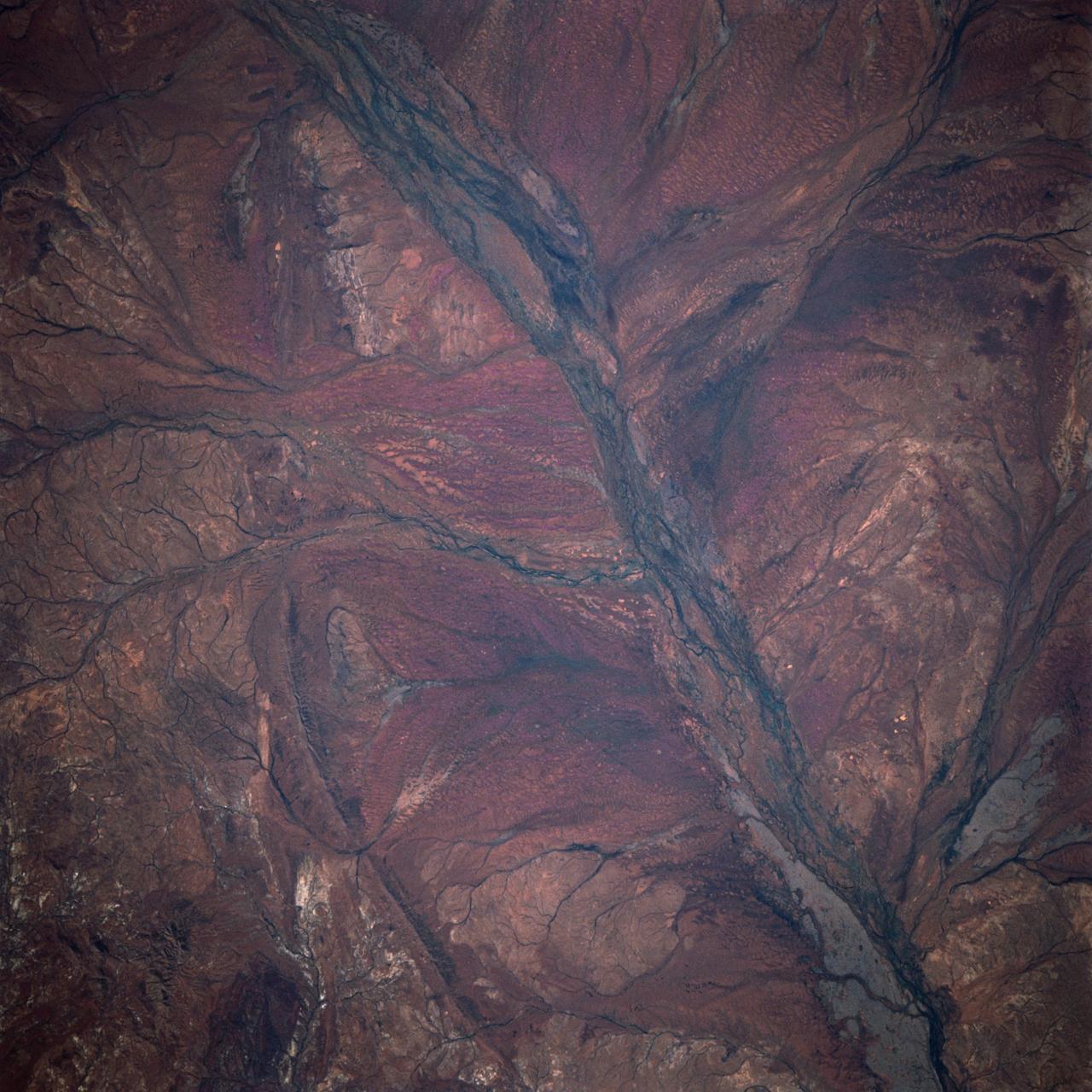 41D-42-023 (30 Aug-5 Sept 1984) --- The Gascoyne River, an intermittent large wash 500 miles north of Perth, Australia, which flows for nearly a thousand miles across the Macadam Plains. The scant water available in this area either is absorbed in the sands and gravel of the watercourse or quickly evaporates. Most water flows beneath the surface, then, giving support to plant root systems and sustaining green vegetation along the watercourses.