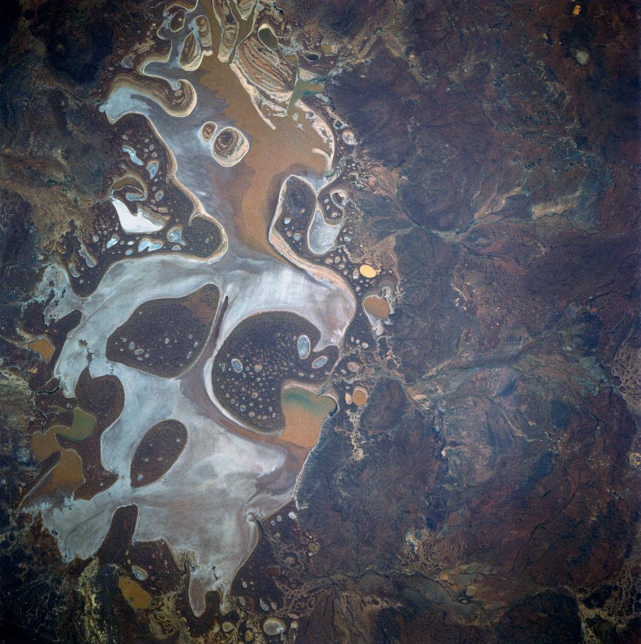 41D-42-045 (30 Aug-5 Sept 1984) --- Lake Carnegie in western Australia, 600 miles northeast of Perth.  This is an island basin dotted with numerous salt lakes, ponds, flats, benches, and dunes.