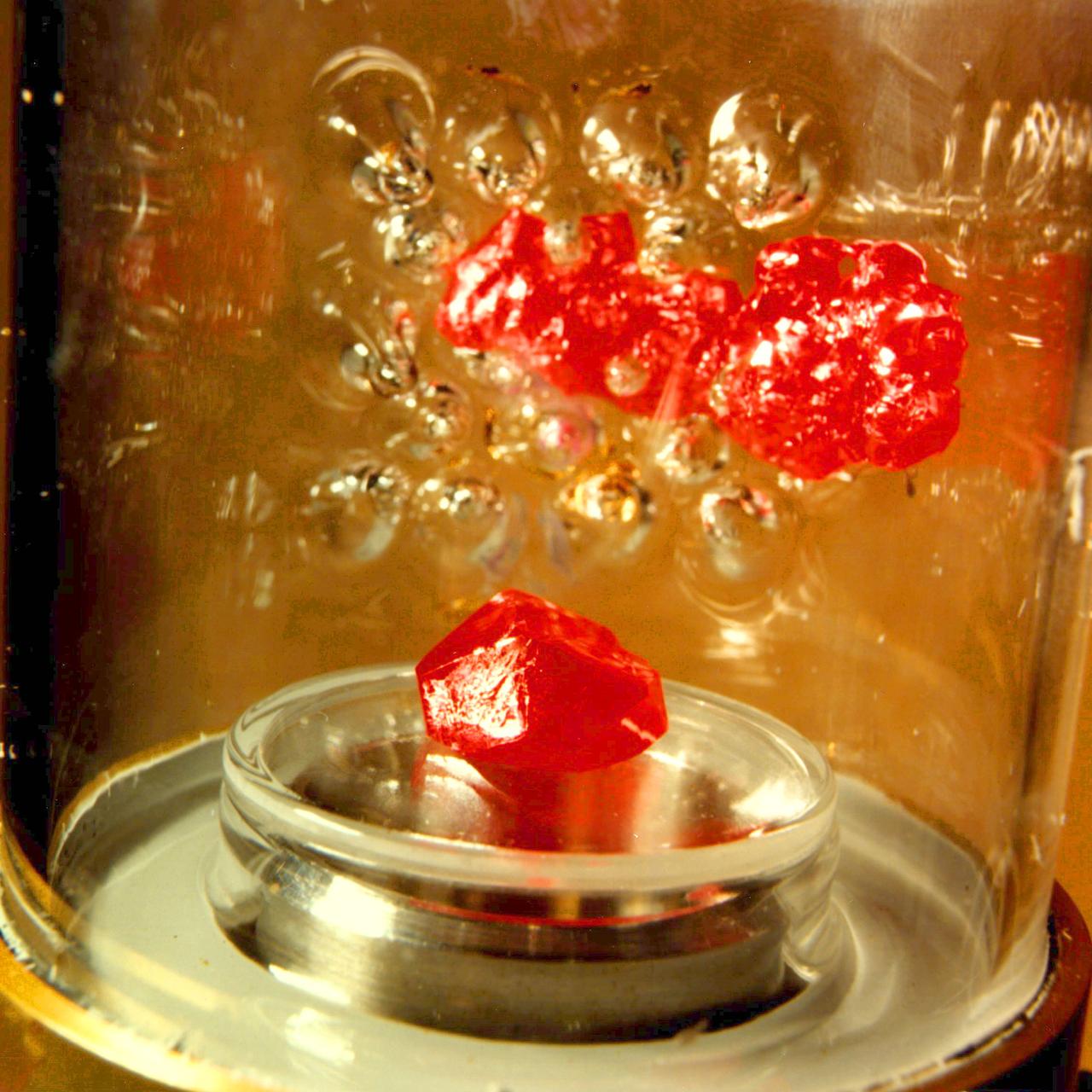 Vapor Crystal Growth System (VCGS), Flown on IML-1, Spacelab 3, Principal Investigator: Lodewijk van den Berg