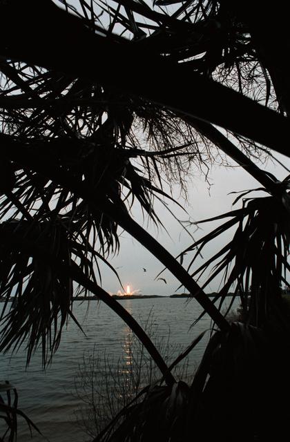 NASA image: View of the shuttle Discovery on the launch pad just prior to STS 51-D launch