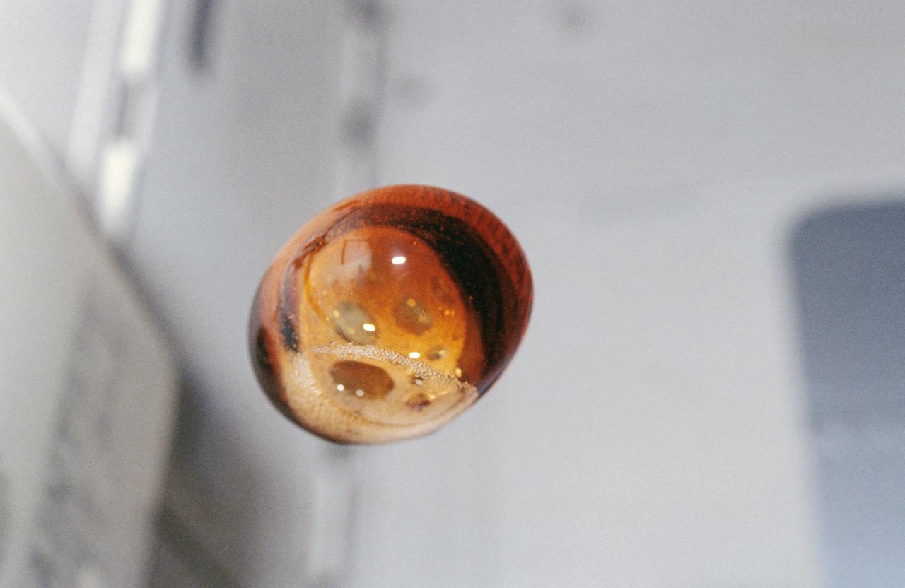 51F-12-034 (29 July-6 Aug 1985) --- A ball of liquid floats aboard Challenger as one of the Spacelab 2 crewmembers continues the ongoing fascination of liquids in weightlessness.  Coffe, grape juice, orange juice, strawberry punch and various other beverages have been formed into globules, usually by the means of plastic straws, on a number of previous Shuttle missions as well as earlier NASA spacecraft. A second crewmember photographed this closeup with a 35 mm camera.