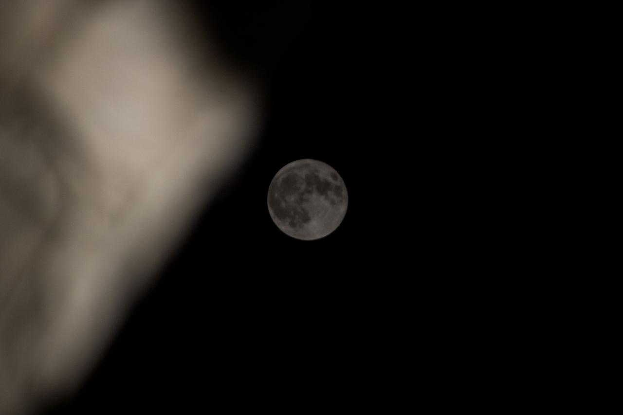 iss071e675220 (Sept. 18, 2024) -- September's full moon, known as the "Harvest Moon," is pictured from the International Space Station as it orbited 260 miles above Beijing.