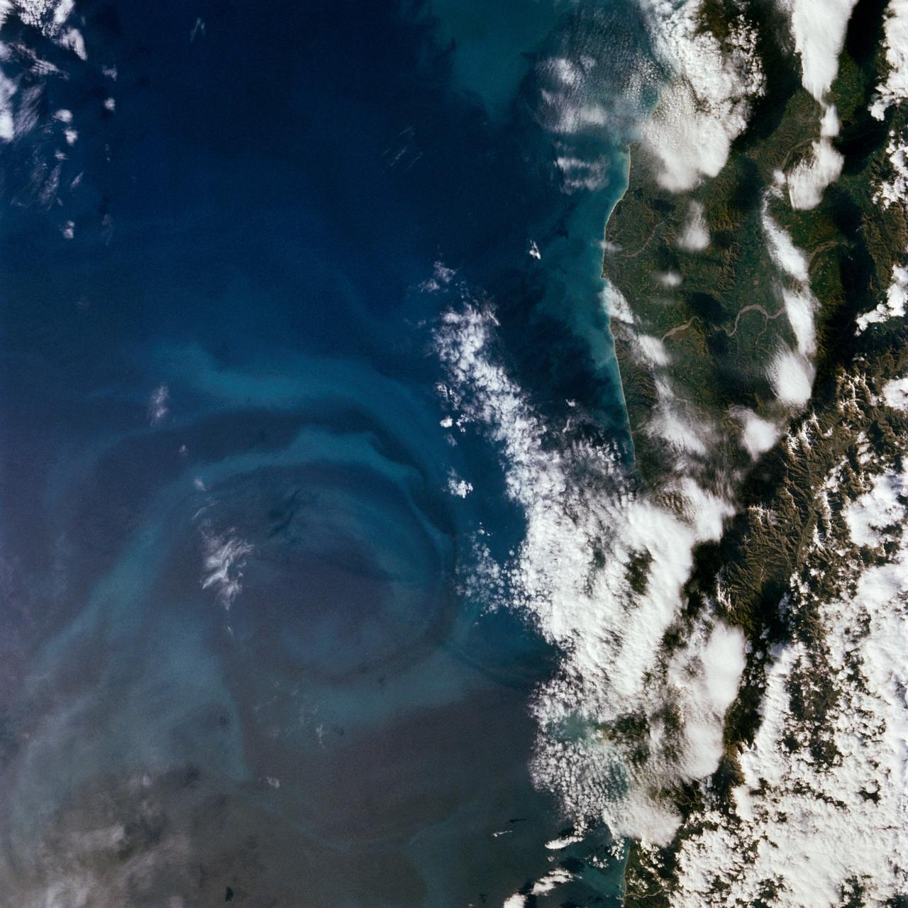61A-50-020 (30 Oct-6 Nov 1985) --- Large photo plankton vortex along the coast of New Zealand's South Island, about 100 kilometers to the north by northeast of Christchurch. Southern hemisphere vortices are clearly clockwise as opposed to counter-clockwise in the northern hemisphere.