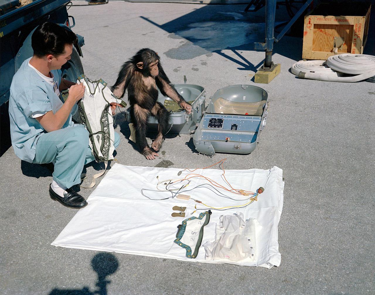 KENNEDY SPACE CENTER, FLA. -   The chimp Ham (primate #65) and a technician goes over the equipment in Hangar S that is going to be used for Ham's suborbital flight.  Ham is scheduled to be launched aboard a Mercury-Redstone 2 from Launch Pad 5 on January 31, 1961.
