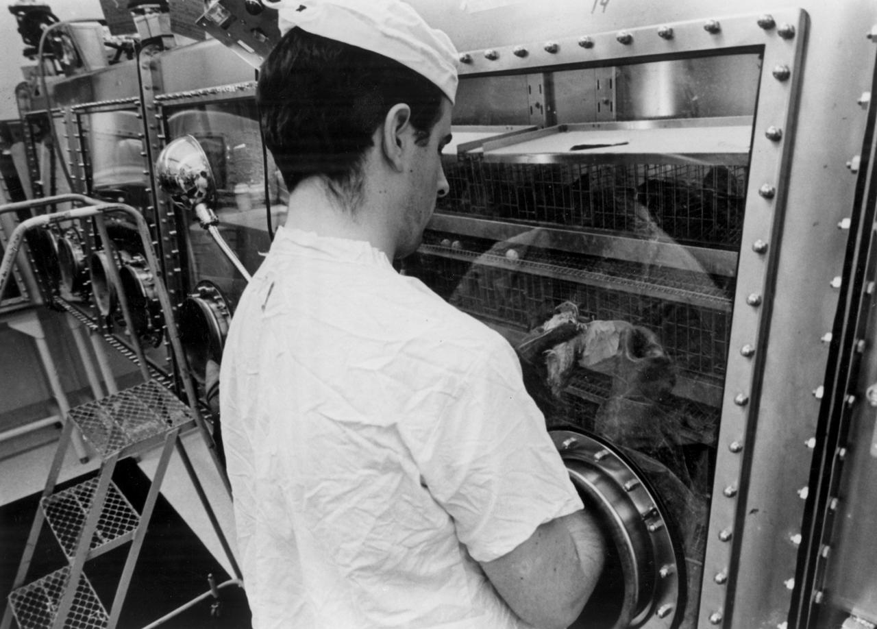 In this photograph, laboratory technician Bart Ruark visually inspects a Japanese Qail confined within a class III cabinet in the Intervertebrae, Aves, and Fish Laboratory of the Lunar Receiving Laboratory, Building 37 of the Manned Spacecraft Center (MSC) in Houston, Texas. This laboratory was part of the overall physical, chemical, and biological test program of the Apollo 11 returned lunar samples. Aboard the Marshall Space Flight Center (MSFC) developed Saturn V launch vehicle, the Apollo 11 mission launched from The Kennedy Space Center, Florida on July 16, 1969 and safely returned to Earth on July 24, 1969. The 3-man crew aboard the flight consisted of astronauts Neil A. Armstrong, commander; Edwin Aldrin, Lunar Module (LM) pilot; and Michael Collins, Command Module (CM) pilot. The CM, piloted by Michael Collins remained in a parking orbit around the Moon while the LM, named “Eagle’’, carrying astronauts Neil Armstrong and Edwin Aldrin, landed on the Moon. In 2 1/2 hours, the crew collected 47 pounds of lunar surface material which was returned to Earth for analysis.                                                                                      