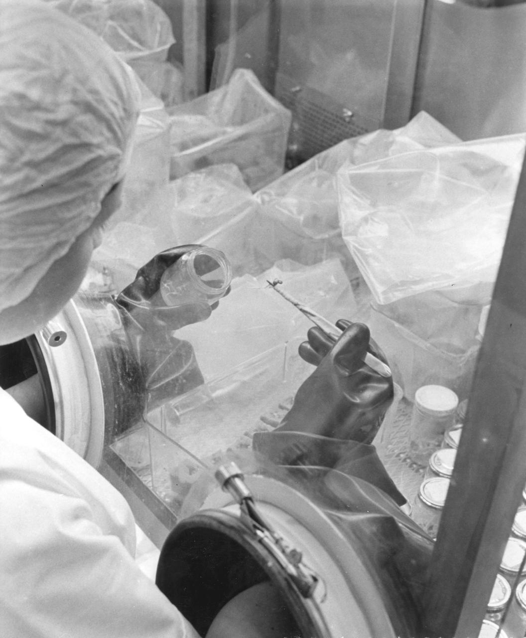 In this photograph, a laboratory technician handles a portion of the more than 20 different plant lines that were used within the Lunar Receiving Laboratory, Building 37 of the Manned Spacecraft Center (MSC) in Houston, Texas. This laboratory was part of the overall physical, chemical, and biological test program of the Apollo 11 returned lunar samples. Aboard the Marshall Space Flight Center (MSFC) developed Saturn V launch vehicle, the Apollo 11 mission launched from The Kennedy Space Center, Florida on July 16, 1969 and safely returned to Earth on July 24, 1969. The 3-man crew aboard the flight consisted of astronauts Neil A. Armstrong, commander; Edwin Aldrin, Lunar Module (LM) pilot; and Michael Collins, Command Module (CM) pilot. The CM, piloted by Michael Collins remained in a parking orbit around the Moon while the LM, named “Eagle’’, carrying astronauts Neil Armstrong and Edwin Aldrin, landed on the Moon. In 2 1/2 hours, the crew collected 47 pounds of lunar surface material which was returned to Earth for analysis.  