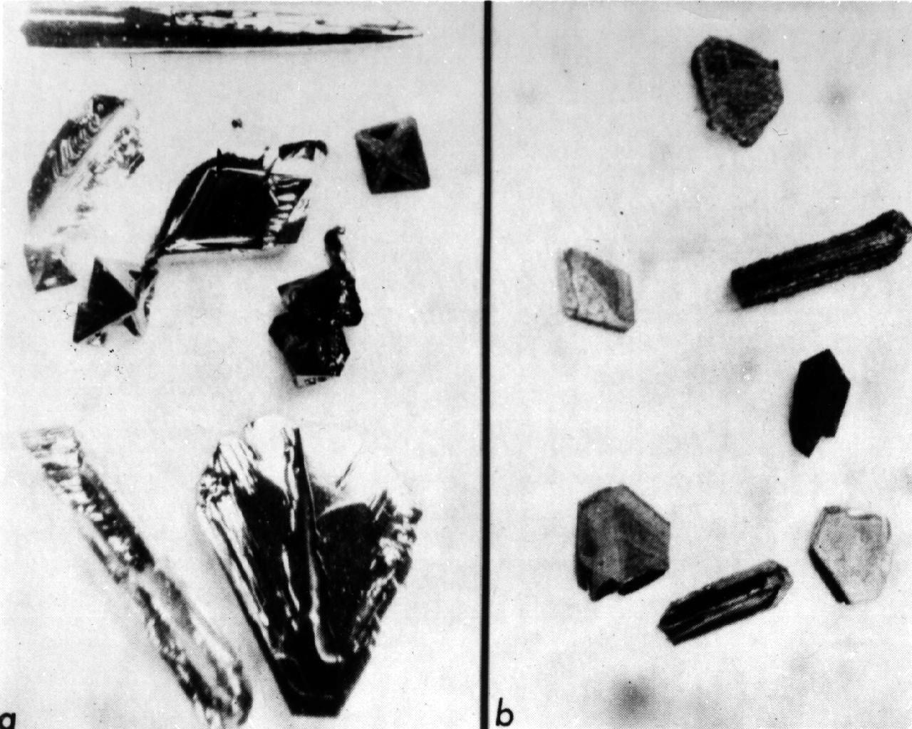 Comparison of Germanium Telluride (GeTe) Crystals grown on Earth (left) and in space (right) during the Skylab SL-3 mission. These crystals were grown using a vapor transport crystal growth method in the Multipurpose Electric Furnace System (MEFS). Crystals grown on earth are needles and platelettes with distorted surfaces and hollow growth habits. The length of the ground-based needle is approximately 2 mm and the average lenth of the platelets is 1 mm. The dull appearance of the Skylab crystals resulted from condensation of the transport agent during the long cooling period dictated by the Skylab furnace. In a dedicated process, this would be prevented by removing the ampoule from the furnace and quenching the vapor source.