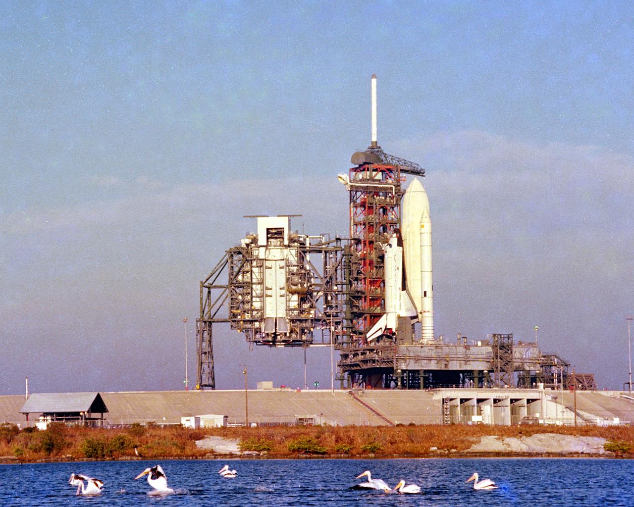 KENNEDY SPACE CENTER, FLA. -  It's not always birds of a feather which flock together.  Here, a flock of white pelicans splash down in a lagoon near KSC's Pad A of Launch Complex 39, where another 'bird' - the Space Shuttle Columbia - is poised for launch on its first voyage into orbit.  The Rotating Service Structure, which houses the snug-fitting, environmentally clean 'white room' where payloads will be loaded into the orbiter's cargo bay, is shown at left in its retracted position.