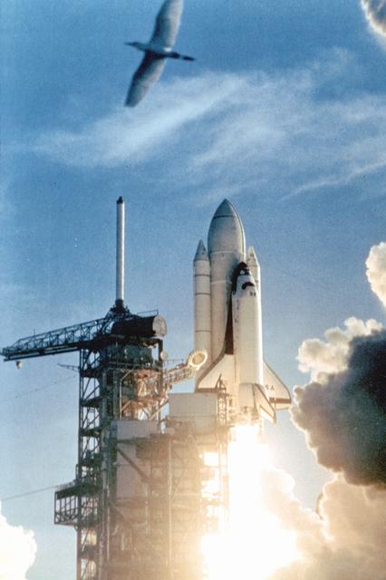 NASA image: KSC-81pc-0370