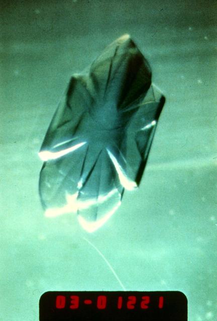 NASA image: Microgravity