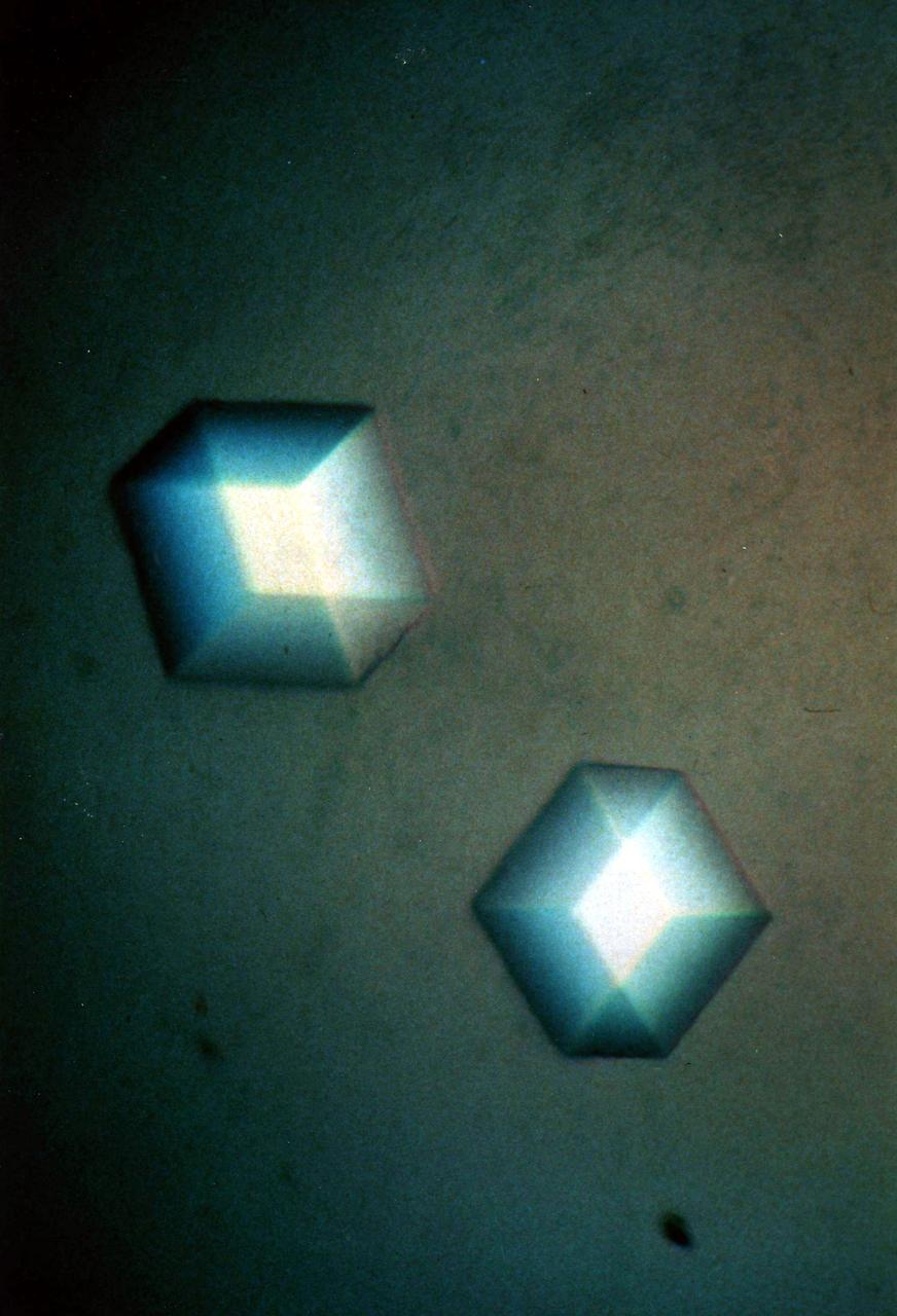 (PCG) Protein Crystal Growth Canavalin. The major storage protein of leguminous plants and a major source of dietary protein for humans and domestic animals. It is studied in efforts to enhance nutritional value of proteins through protein engineerings. It is isolated from Jack Bean because of it's potential as a nutritional substance. Principal Investigator on STS-26 was Alex McPherson.