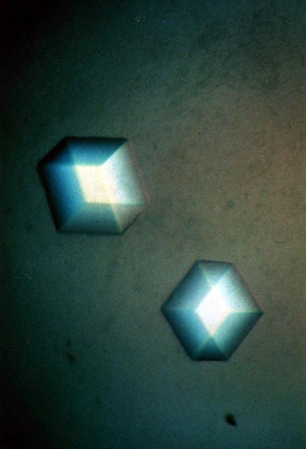 NASA image: Microgravity