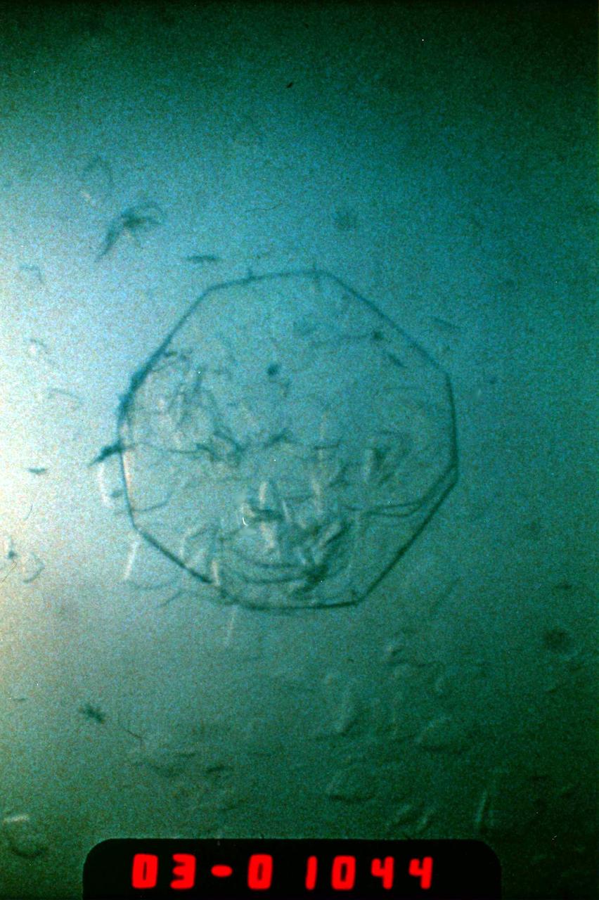 (PCG) Protein Crystal Growth Human Serum Albumin. Contributes to many transport and regulatory processes and has multifunctional binding properties which range from various metals, to fatty acids, hormones, and a wide spectrum of therapeutic drugs. The most abundant protein of the circulatory system. It binds and transports an incredible variety of biological and pharmaceutical ligands throughout the blood stream. Principal Investigator on STS-26 was Larry DeLucas.