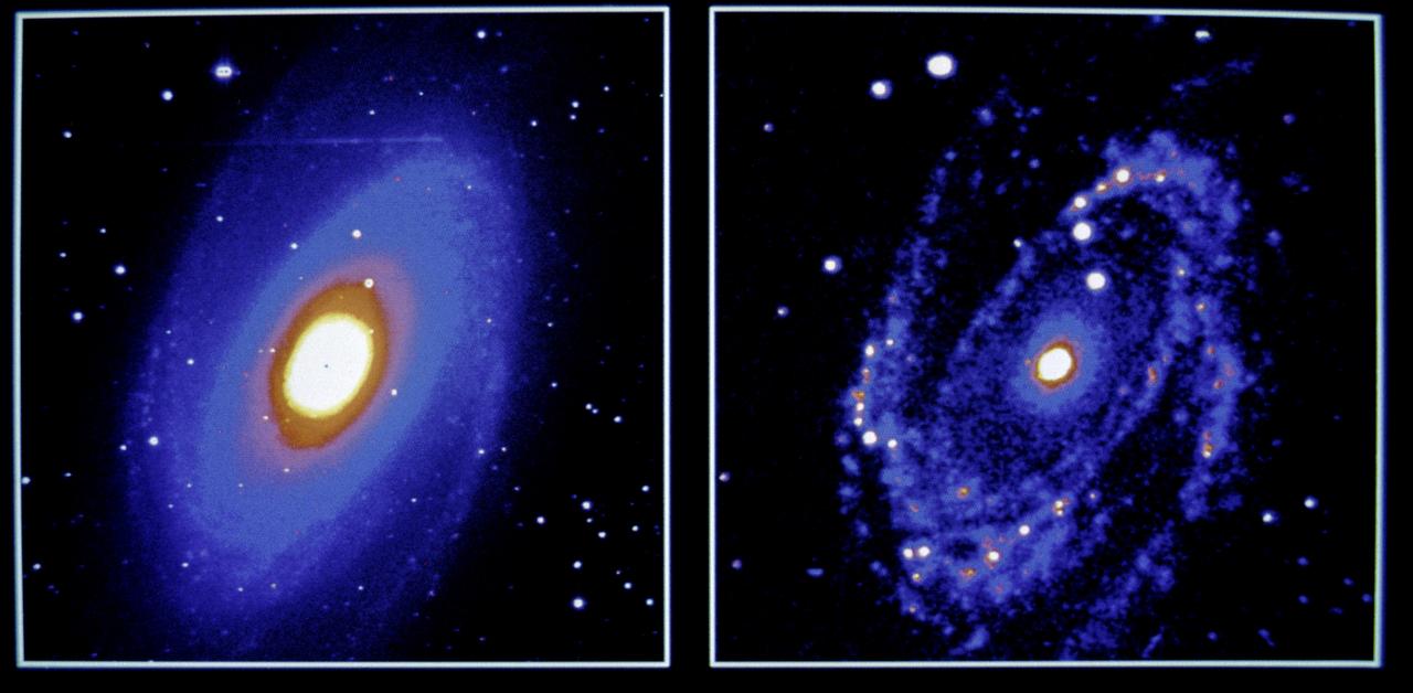 This is a presentation of two comparison images of the Spiral Galaxy M81 in the constellation URA Major. The galaxy is about 12-million light years from Earth. The left image is the Spiral Galaxy M81 as photographed by the Ultraviolet Imaging Telescope (UIT) during the Astro-1 Mission (STS-35) on December 9, 1990. This UIT photograph, made with ultraviolet light, reveals regions where new stars are forming at a rapid rate. The right image is a photograph of the same galaxy in red light made with a 36-inch (0.9-meter) telescope at the Kitt Peak National Observatory near Tucson, Arizona. The Astro Observatory was designed to explore the universe by observing and measuring ultraviolet radiation from celestial objects. Three instruments made up the Astro Observatory: The Hopkins Ultraviolet Telescope (HUT), the Ultraviolet Imaging Telescope (UIT), and the Wisconsin Ultraviolet Photo-Polarimetry Experiment (WUPPE). The Marshall Space Flight Center had management responsibilities for the Astro-1 mission. The Astro-1 Observatory was launched aboard the Space Shuttle Orbiter Columbia (STS-35) on December 2, 1990.
