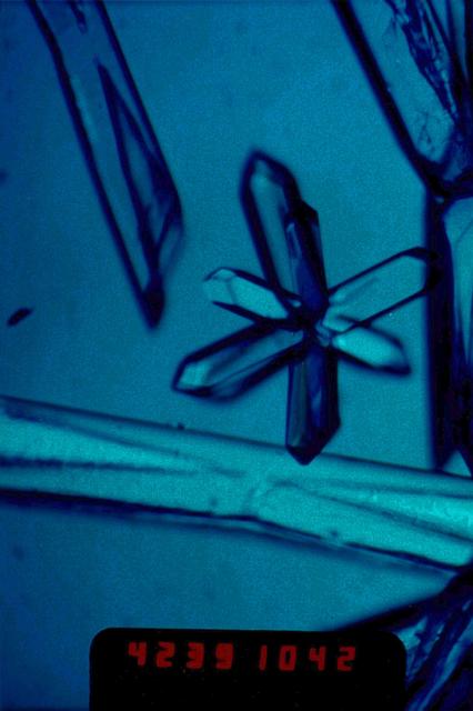 NASA image: Microgravity