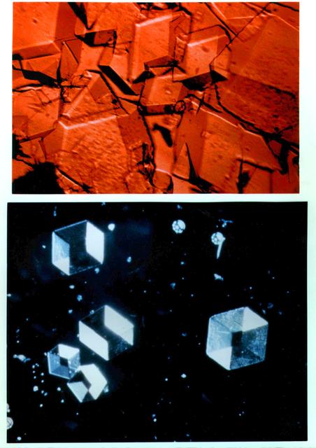 NASA image: Microgravity