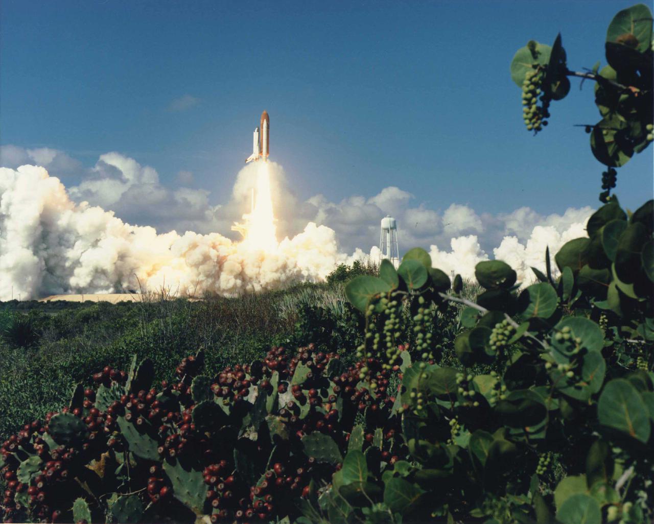 KENNEDY SPACE CENTER, FLA. - The Space Shuttle Columbia climbs a golden tower into a royal blue sky dusted with clouds.  The 58th Shuttle flight lifted off from Launch Pad 39B at 10:53:10 a.m. EDT, beginning the longest mission planned in Shuttle program history: two weeks.  The Extended Duration Orbiter STS-58 mission will allow the seven-member crew to delve extensively into a number of experiments investigating the adaptation of the human body to space.  Spacelab Llife Sciences-2 is the second Spacelab mission dedicated solely to life sciences research.