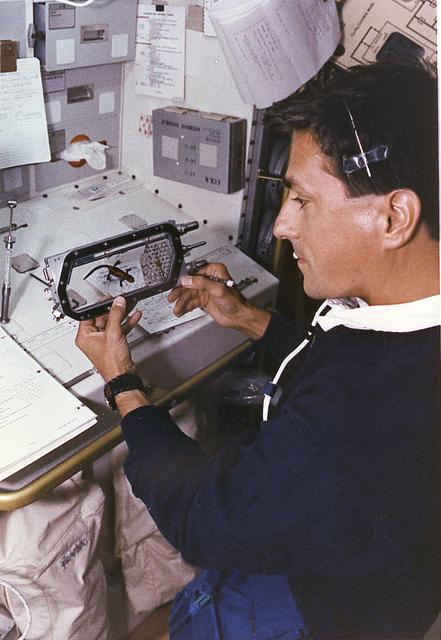 Astronaut Donald Thomas conducts the Fertilization and Embryonic Development of Japanese Newt in Space (AstroNewt) experiment at the Aquatic Animal Experiment Unit (AAEU) inside the International Microgravity Laboratory-2 (IML-2) science module. The AstroNewt experiment aims to know the effects of gravity on the early developmental process of fertilized eggs using a unique aquatic animal, the Japanese red-bellied newt. The newt egg is a large single cell at the begirning of development. The Japanese newt mates in spring and autumn. In late autumn, female newts enter hibernation with sperm in their body cavity and in spring lay eggs and fertilized them with the stored sperm. The experiment takes advantage of this feature of the newt. Groups of newts were sent to the Kennedy Space Center and kept in hibernation until the mission. The AAEU cassettes carried four newts aboard the Space Shuttle. Two newts in one cassette are treated by hormone injection on the ground to simulate egg laying. The other two newts are treated on orbit by the crew. The former group started maturization of eggs before launch. The effects of gravity on that early process were differentiated by comparison of the two groups. The IML-2 was the second in a series of Spacelab flights designed to conduct research by the international science community in a microgravity environment. Managed by the Marshall Space Flight Center, the IML-2 was launch on July 8, 1994 aboard the STS-65 Space Shuttle Orbiter Columbia mission.