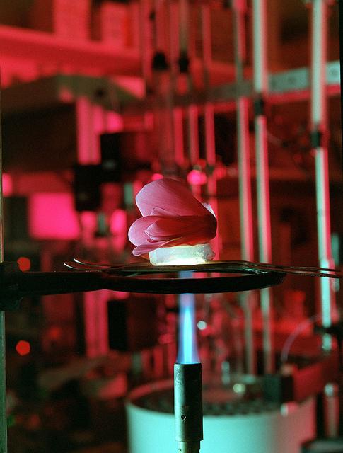 Scientists at Marshall Space Flight Center (MSFC) have been studying the properties of Aerogel for several years. Aerogel, the lightest solid known to man, has displayed a high quality for insulation. Because of its smoky countenance, it has yet to be used as an insulation on windows, but has been used in the space program on the rover Sojourner, and has been used as insulation in the walls of houses and in automobile engine compartments. As heat is applied to Aerogel, scientist Dr. David Noever of Space Sciences Laboratory, Principal Investigator of Aerogel, studies for its properties trying to uncover the secret to making Aerogel a clear substance. Once found, Aerogel will be a major component in the future of glass insulation.