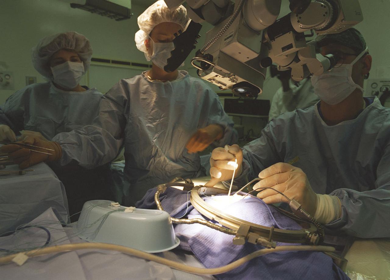 A special lighting technology was developed for space-based commercial plant growth research on NASA's Space Shuttle. Surgeons have used this technology to treat brain cancer on Earth, in two successful operations. The treatment technique, called Photodynamic Therapy, requires the surgeon to use tiny, pinhead-size Light Emitting Diodes (LEDs) (a source that releases long wavelengths of light ) to activate light-sensitive, tumor-treating drugs. "A young woman operated on in May 1999 has fully recovered with no complications and no evidence of the tumor coming back," said Dr. Harry Whelan, a pediatric neurologist at the Medical Hospital of Wisconsin in Milwaukee. Laser light has been used for this type of surgery in the past, but the LED light illuminates through all nearby tissues, reaching parts of a tumor that shorter wavelengths of laser light carnot. The new probe is safer because the longer wavelengths of light are cooler than the shorter wavelengths of laser light, making the LED less likely to injure normal brain tissue near the tumor. It can be used for hours at a time while still remaining cool to the touch. The LED light source is compact, about the size of a briefcase, and can be purchased for a fraction of the cost of a laser. The LEDs, developed and managed by NASA's Marshall Space Flight Center, have been used on seven Space Shuttle flights inside the Microgravity Astroculture Facility. This technology has also been successfully used to further commercial research in crop growth.