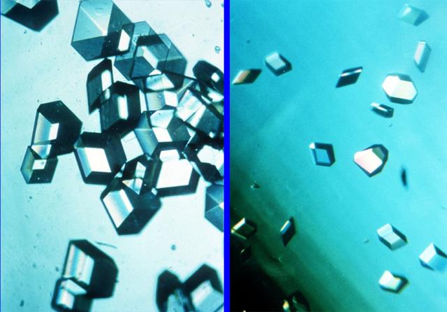 The comparison of protein crystal, Recombiant Human Insulin; space-grown (left) and earth-grown (right). On STS-60, Spacehab II indicated that space-grown crystals are larger and of greater optical clarity than their earth-grown counterparts. Recombiant Human Insulin facilitates the incorporation of glucose into cells. In diabetics, there is either a decrease in or complete lack of insulin, thereby leading to several harmful complications. Principal Investigator is Larry DeLucas.