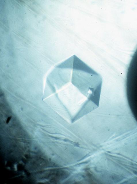 NASA image: Microgravity