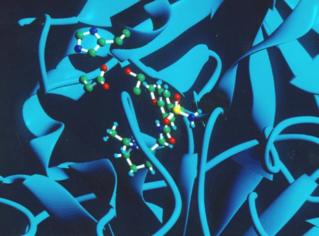 The trauma caused by the open heart surgery often triggers massive inflammation because the immune system overreacts. Factor D, the protein which plays a key role in the biological steps that activate this immune response prevents the imune system from inappropriately rurning out of control, allowing the patient to recover more rapidly. Factor D blockers, with their great potential to alleviate the complication of inflammation associated with heart surgery, are now being developed for clinical trials. These new drugs, developed from space research, should be commercially available as soon as year 2001.