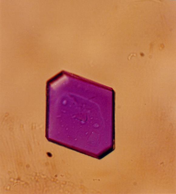 NASA image: Microgravity