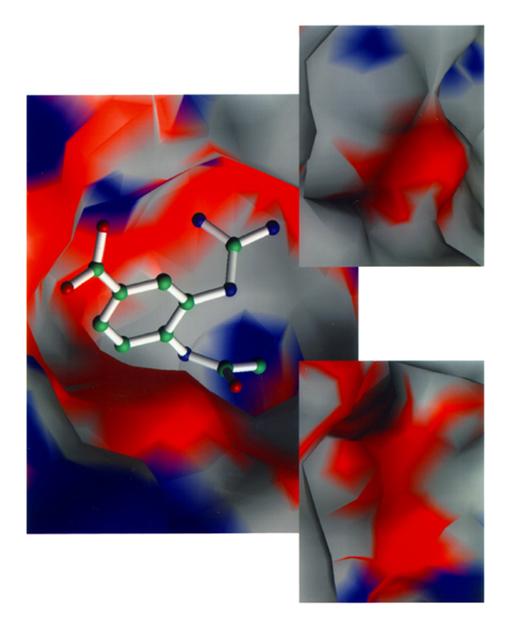 The loss of productivity due to flu is staggering. Costs range as much as $20 billio a year. High mutation rates of the flu virus have hindered development of new drugs or vaccines. The secret lies in a small molecule which is attached to the host cell's surface. Each flu virus, no matter what strain, must remove this small molecule to escape the host cell to spread infection. Using data from space and earth grown crystals, researchers from the Center of Macromolecular Crystallography (CMC) are desining drugs to bind with this protein's active site. This lock and key fit reduces the spread of flu in the body by blocking its escape route. In collaboration with its corporate partner, the CMC has refined drug structure in preparation for clinical trials. Tested and approved relief is expected to reach drugstores by year 2004.