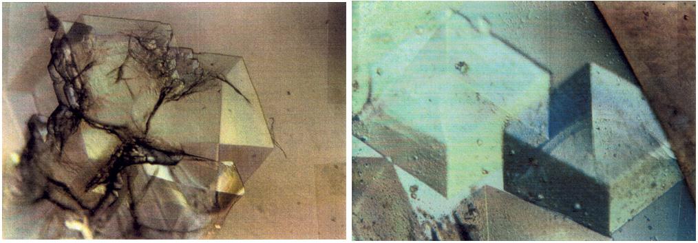 Proteins are the building blocks of our bodies and the living world around us. Within our bodies proteins make it possible for red blood cells to carry oxygen throughout the body. Others help transmit nerve impulses so we can hear, smell and feel the world around us. While others play a crucial role in preventing or causing disease. If the structure of a protein is known, then companies can develop new or improved drugs to fight the disease of which the protein is a part. To determine protein structure, researchers must grow near-perfect crystals of the protein. On Earth convection currents, sedimentation and other gravity-induced phenomena hamper crystal growth efforts. In microgravity researchers can grow near-perfect crystals in an environment free of these effects. Because of the enormous potential for new pharmaceutical products the Center for Macromolecular Crystallography--the NASA Commercial Space Center responsible for commercial protein crystal growth efforts has more than fifty major industry and academic partners. Research on crystals of human insulin could lead to improved treatments for diabetes.